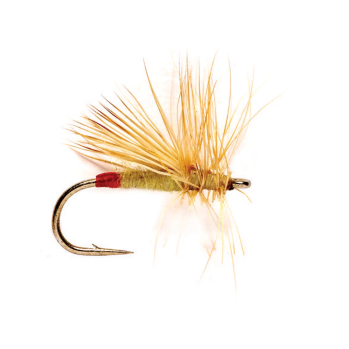 Orvis | Yellow Sally