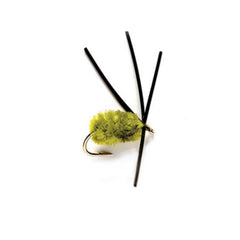Orvis | Bully Bluegill Spider