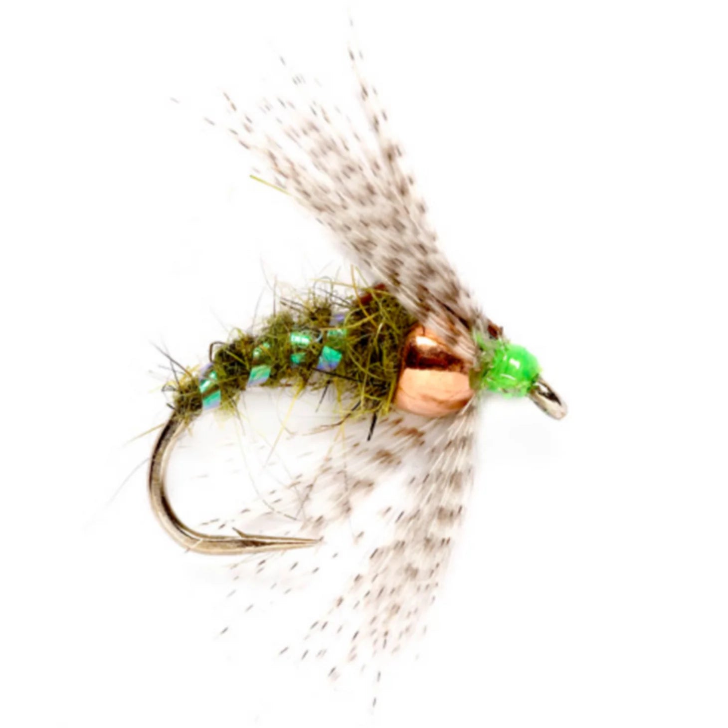 Orvis | Holy Grail