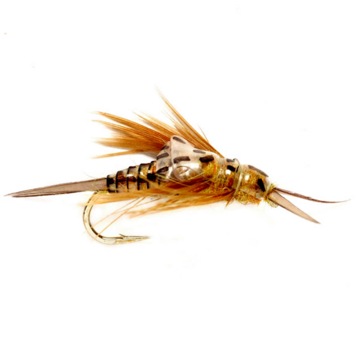 Orvis | OE Stonefly Nymph