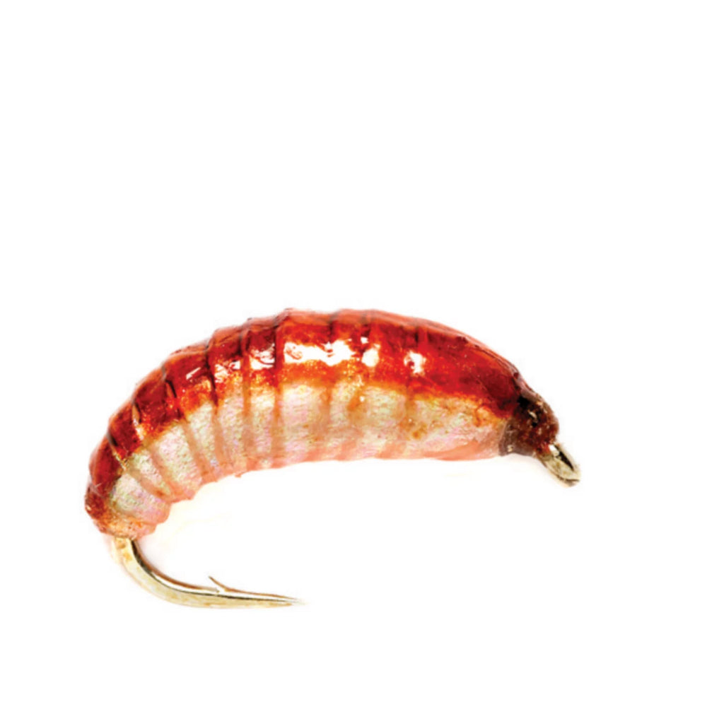 Orvis | Ooey Gooey Grub
