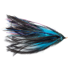 Orvis | Intruder