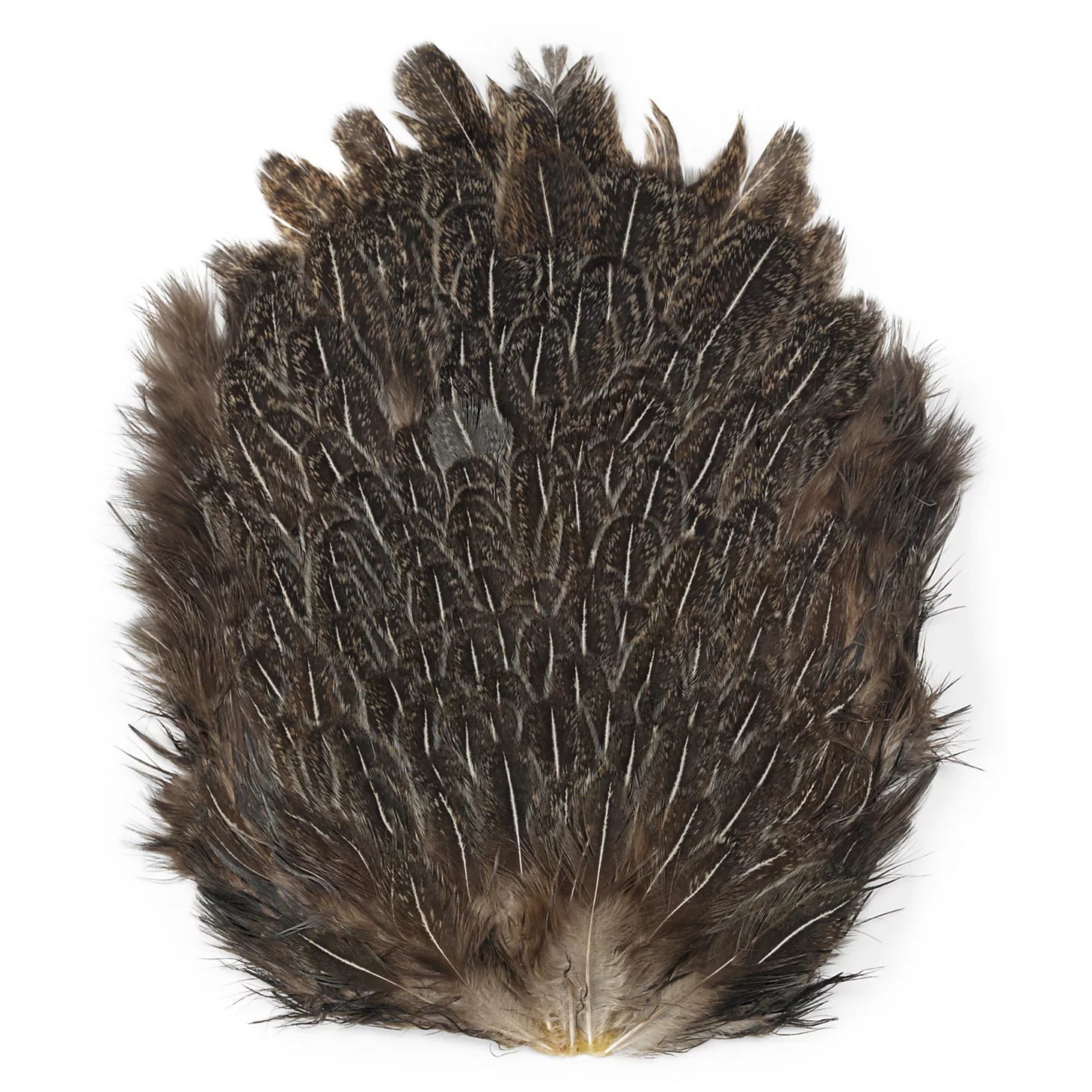 Orvis | India Hen Backs