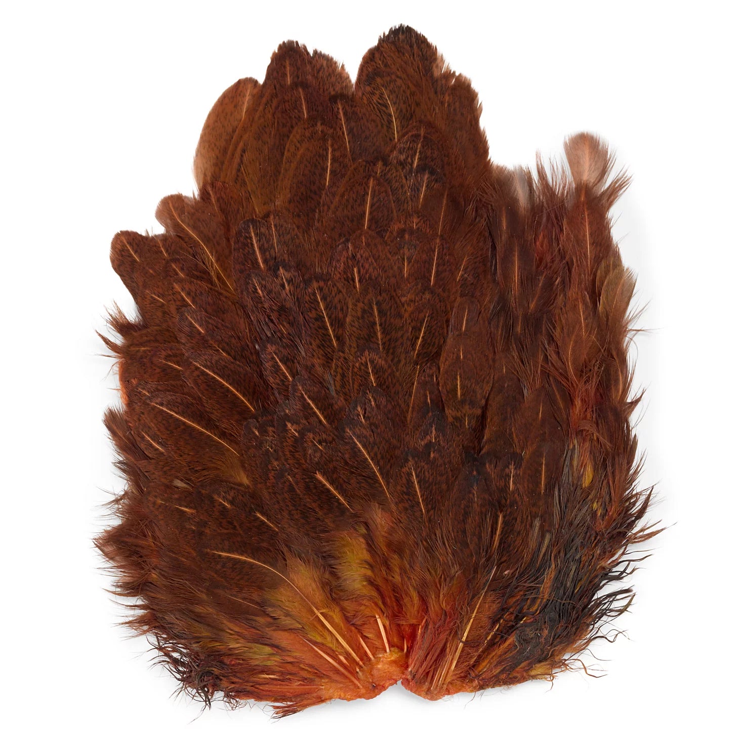 Orvis | India Hen Backs