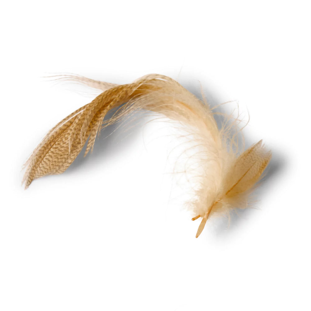 Orvis | Mallard Duck Side Feathers
