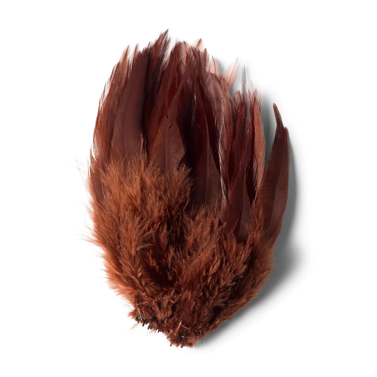 Orvis | Extra-Long Saddle Hackle