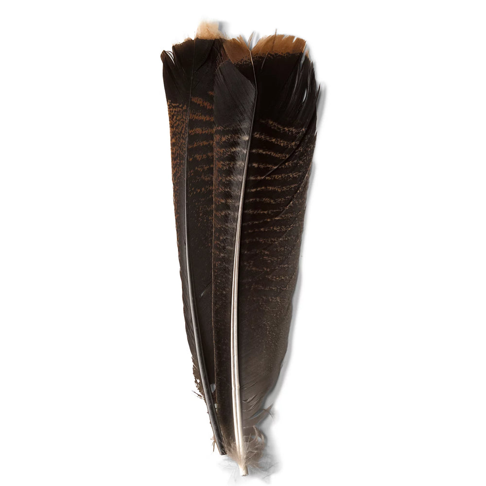 Orvis | Mottled Turkey Feathers