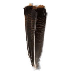 Orvis | Mottled Turkey Feathers