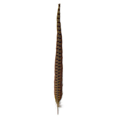 Orvis | Pheasant Tail