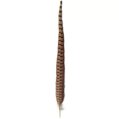 Orvis | Pheasant Tail