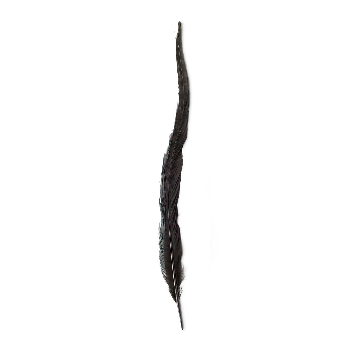 Orvis | Pheasant Tail