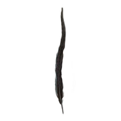 Orvis | Pheasant Tail