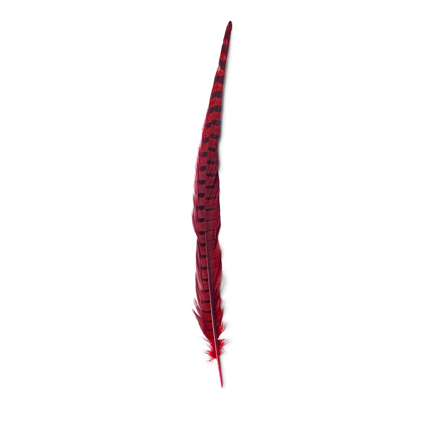 Orvis | Pheasant Tail