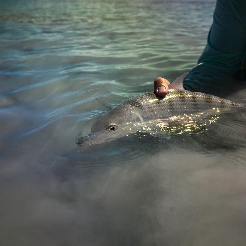 Orvis | Belize Saltwater Fly Fishing School