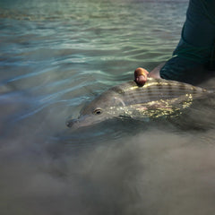 Orvis | Belize Saltwater Fly Fishing School