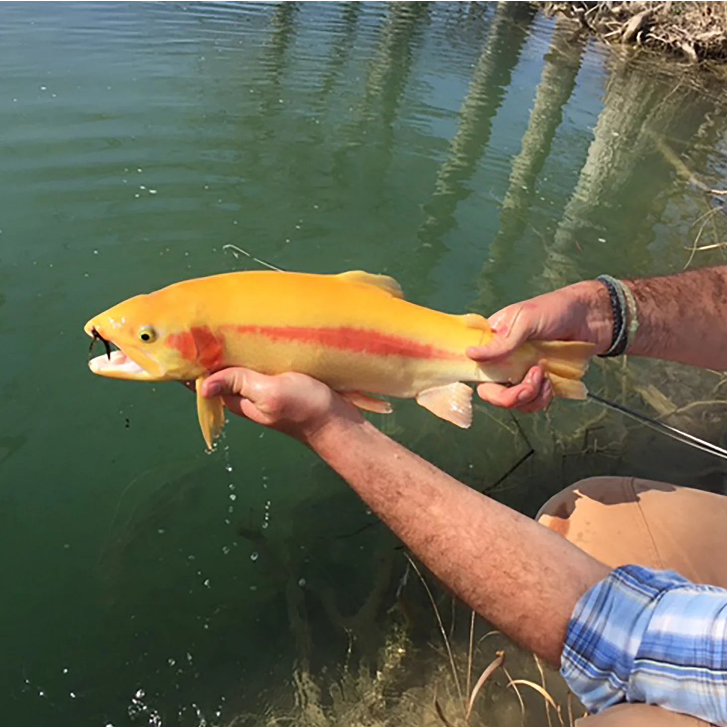 Orvis | Boerne, Texas Hill Country Fly Fishing School Hosted By Joshua Creek Ranch
