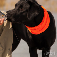Orvis | Lowcountry Saltwater Fishing School, SC