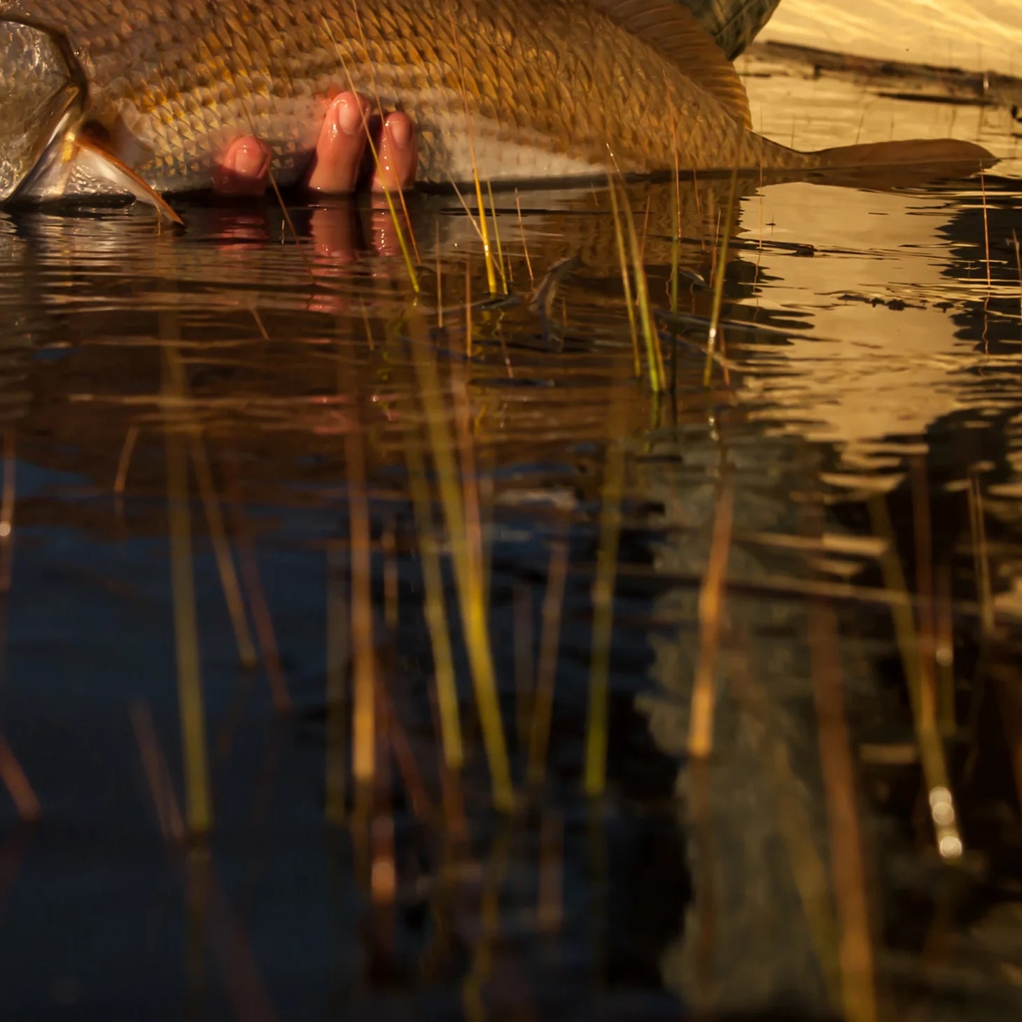 Orvis | Lowcountry Saltwater Fishing School, SC