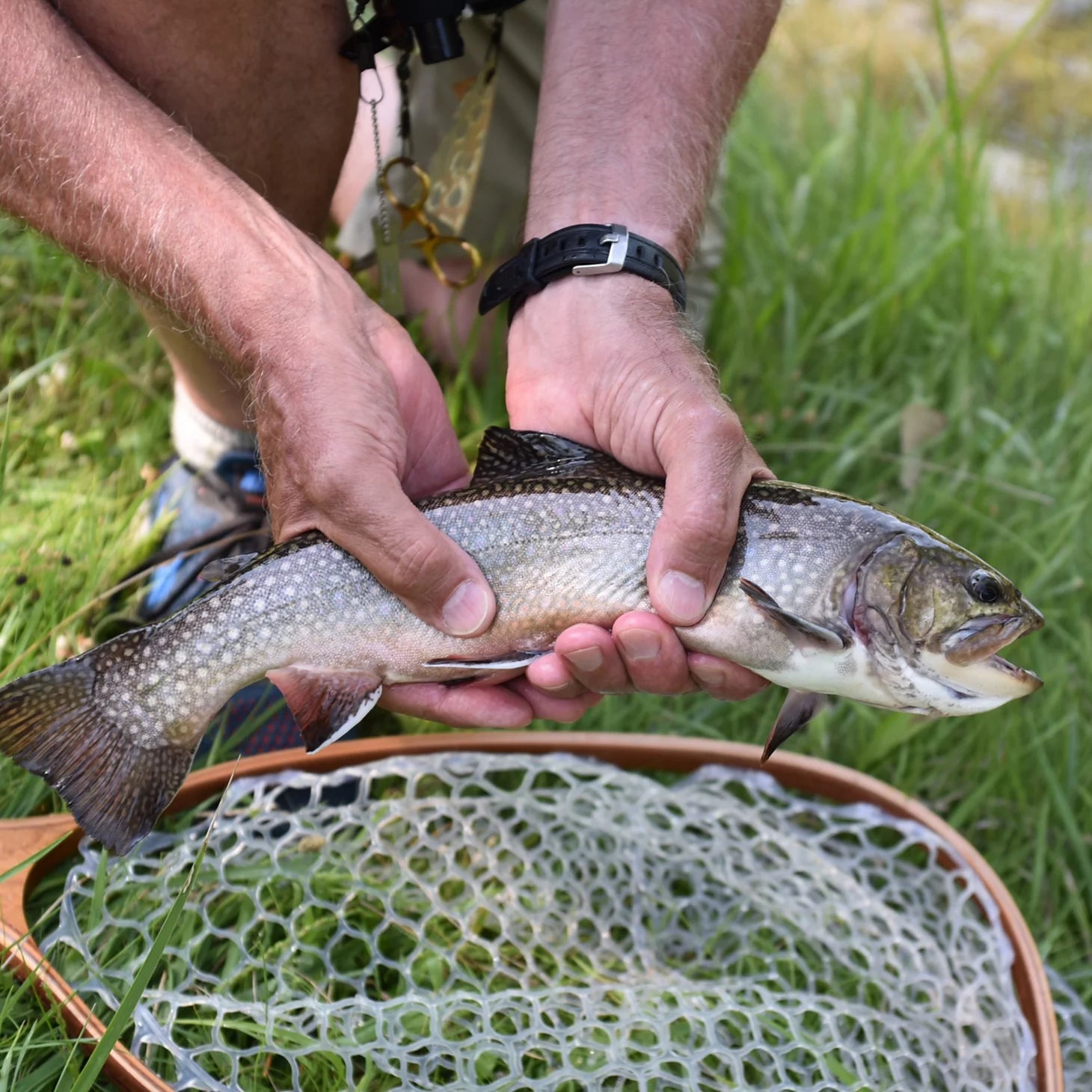 Orvis | Clyde, Ohio Fly Fishing School