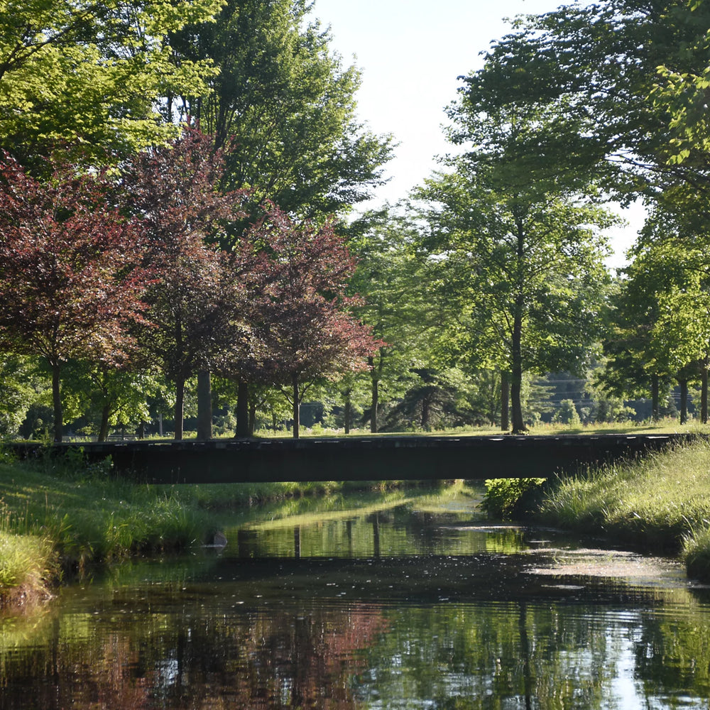 Orvis | Clyde, Ohio Fly Fishing School