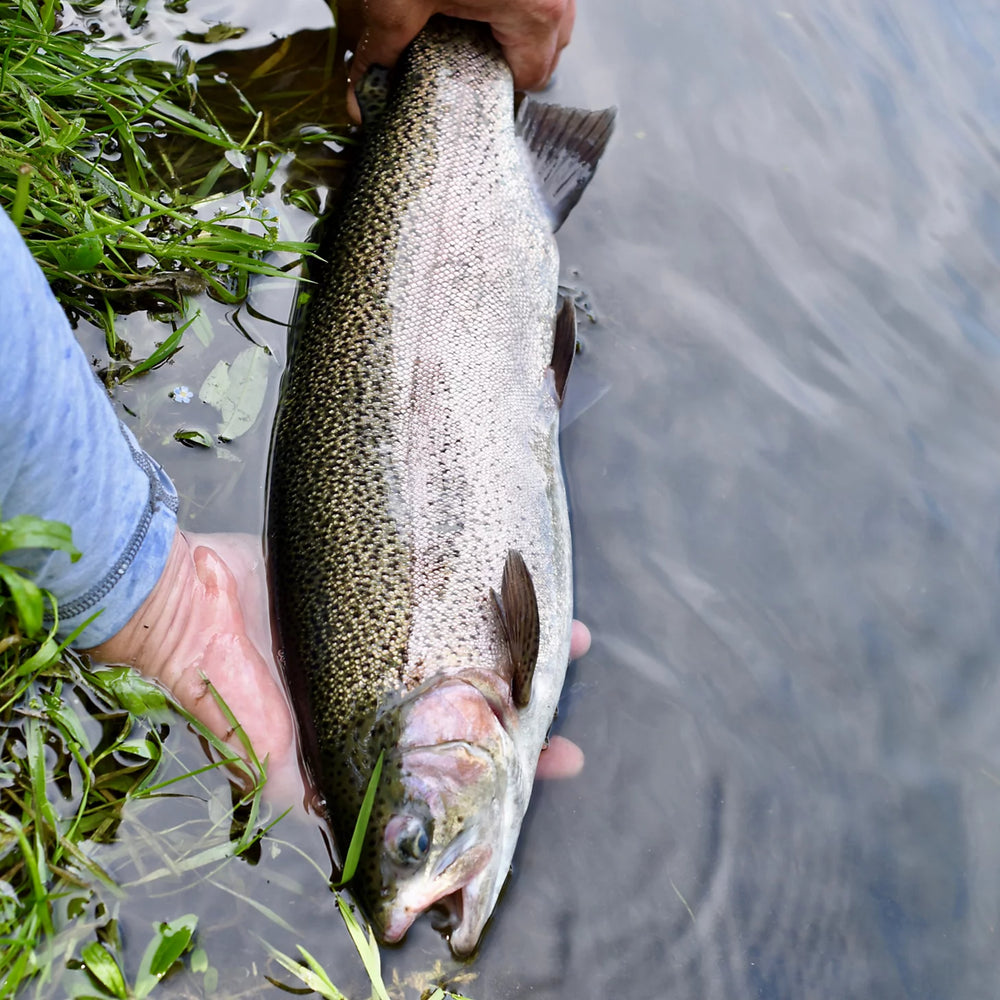 Orvis | Clyde, Ohio Fly Fishing School