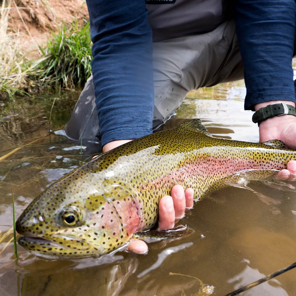 Orvis | Trout School At Falcon's Ledge, Utah