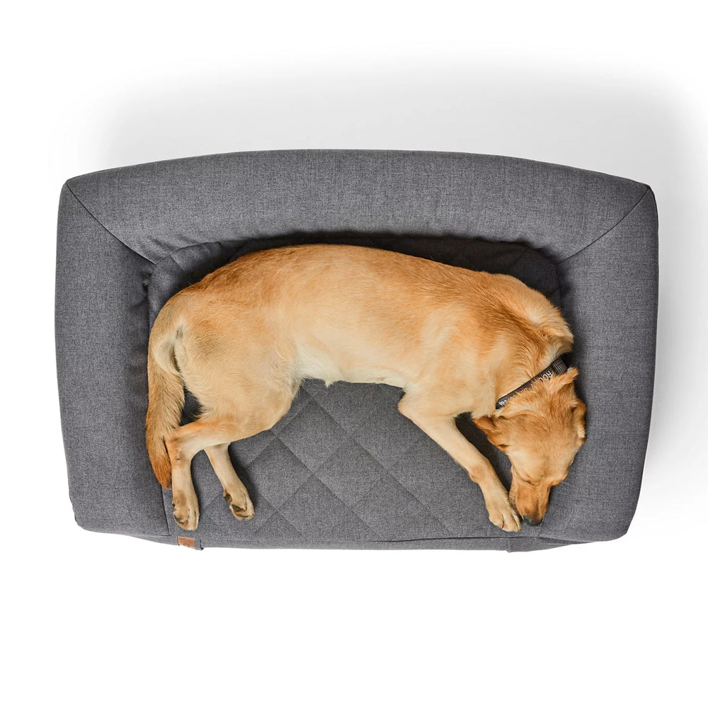 Orvis | Orvis RecoveryZone® Couch Dog Bed