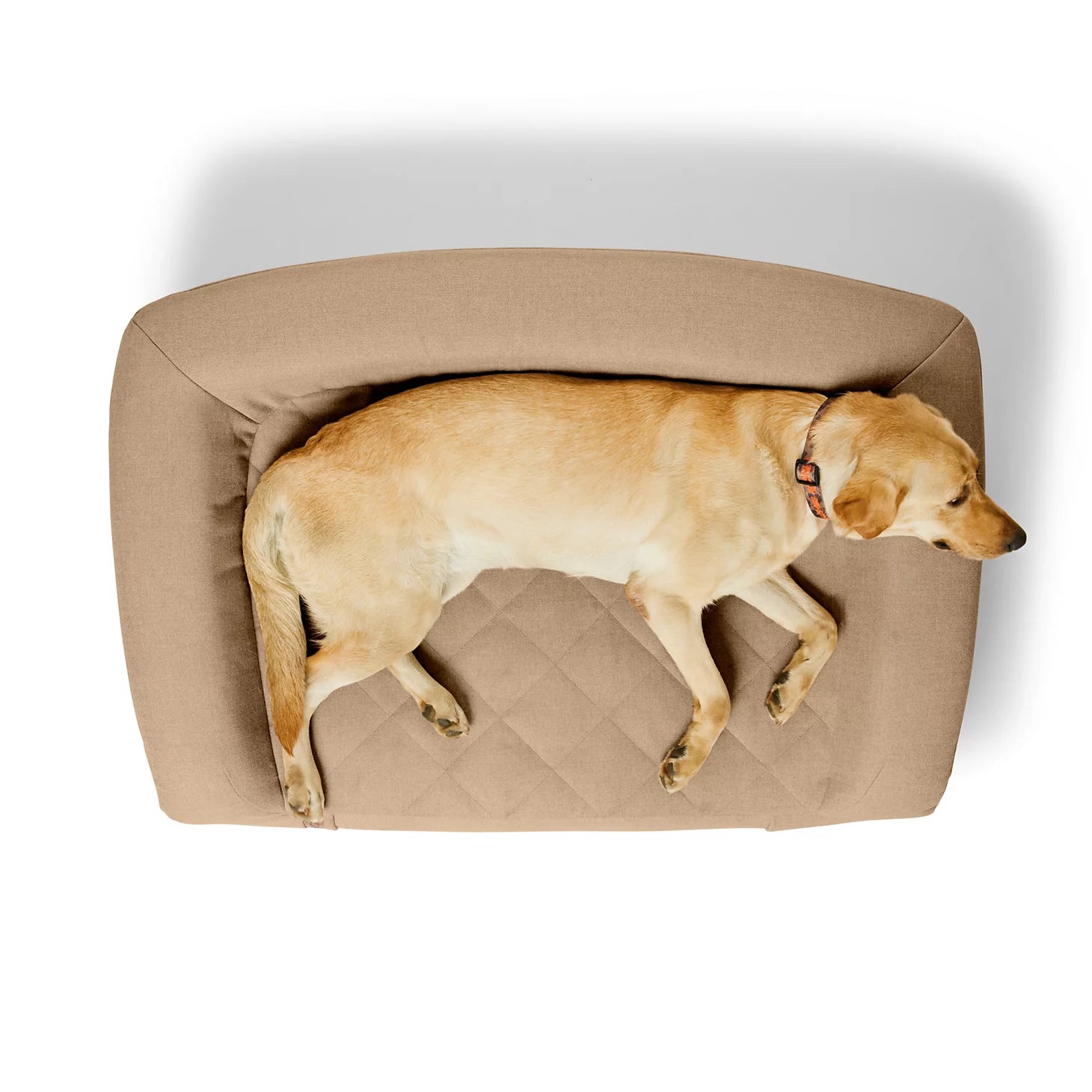 Orvis | Orvis RecoveryZone® ToughChew® Couch Dog Bed
