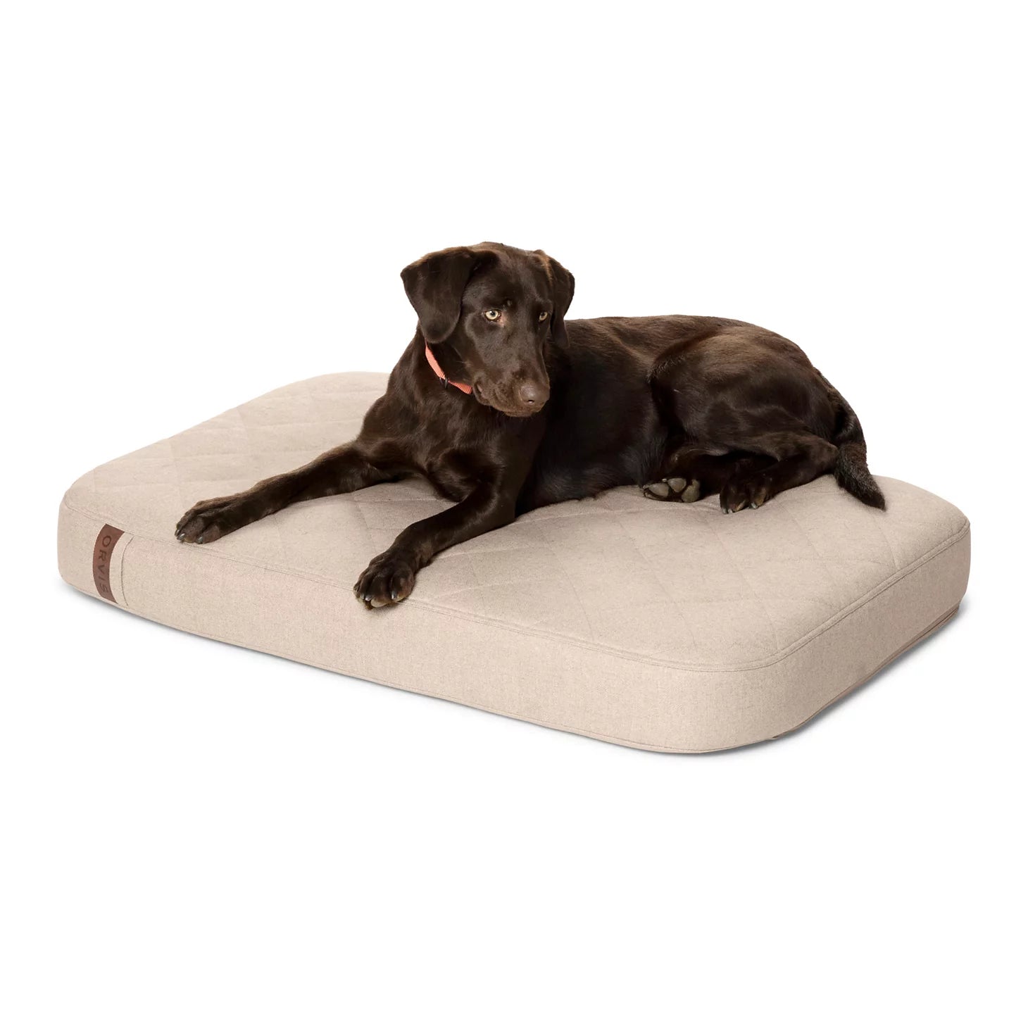 Orvis | Orvis RecoveryZone® Lounger Dog Bed