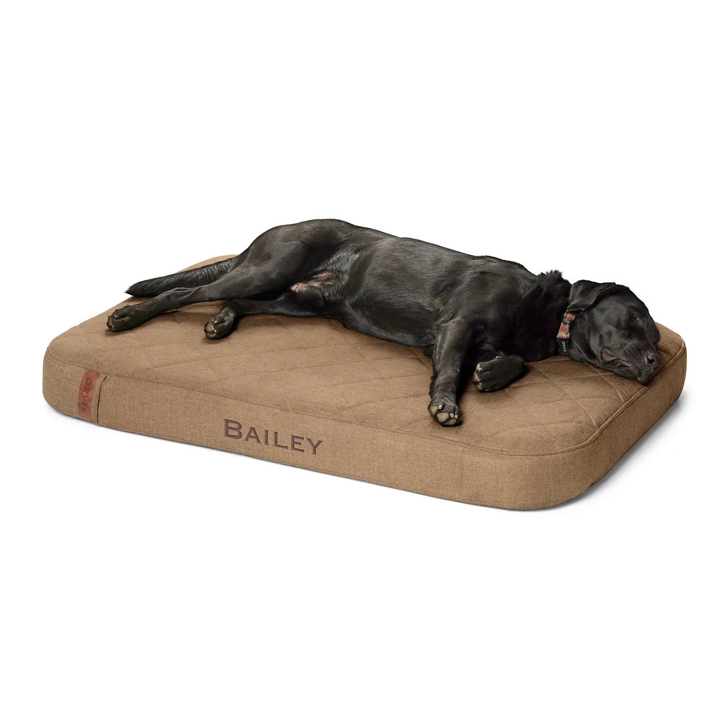 Orvis | Orvis RecoveryZone® Lounger Dog Bed