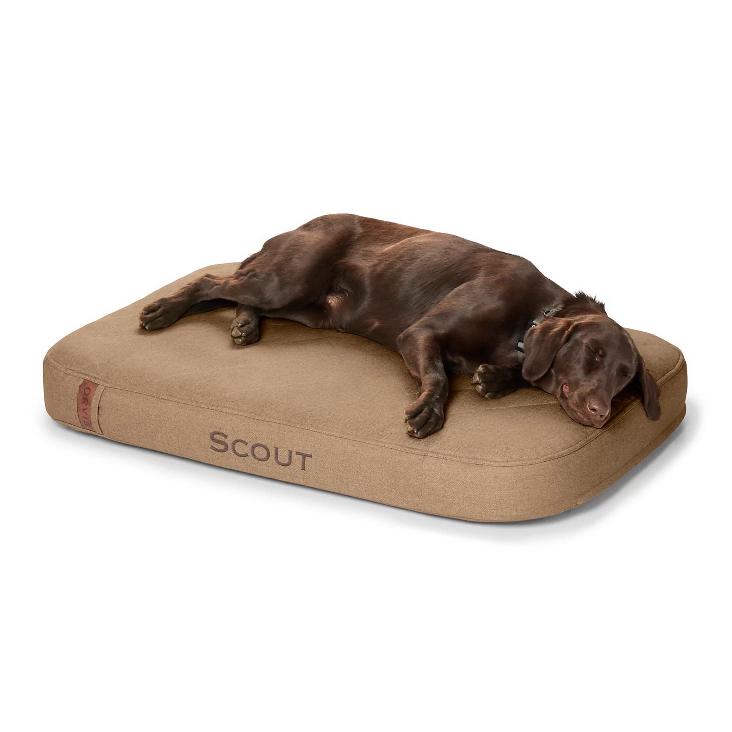 Orvis | Orvis RecoveryZone® ToughChew® Lounger Dog Bed
