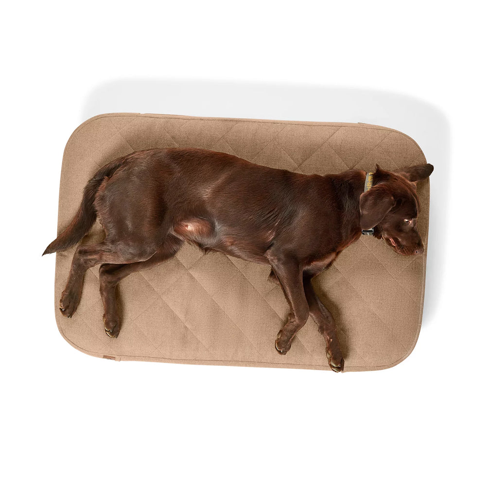 Orvis | Orvis RecoveryZone® ToughChew® Lounger Dog Bed