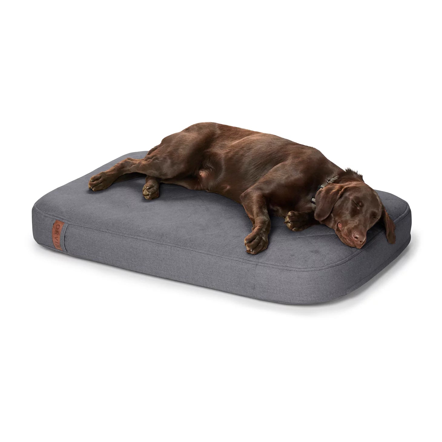Orvis | Orvis RecoveryZone® ToughChew® Lounger Dog Bed