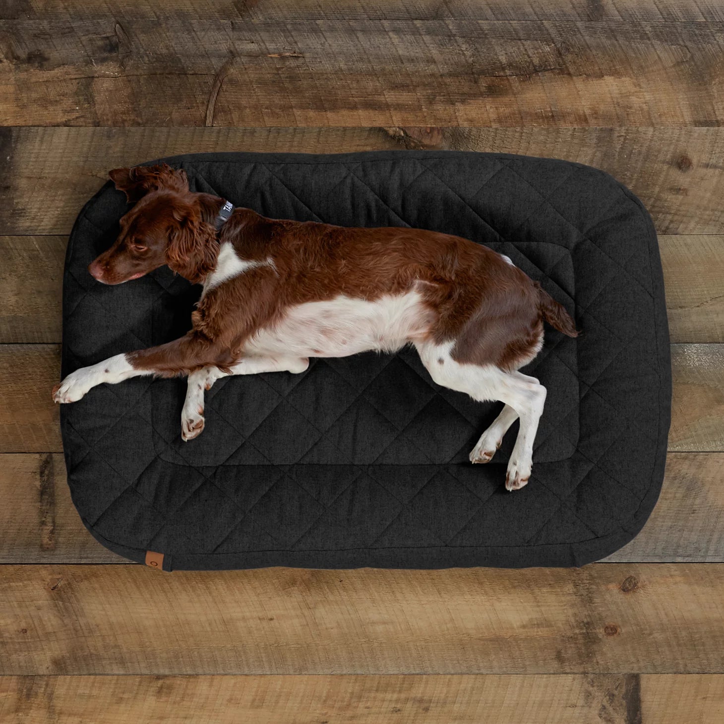 Orvis | Memory Foam Lounger Dog Bed