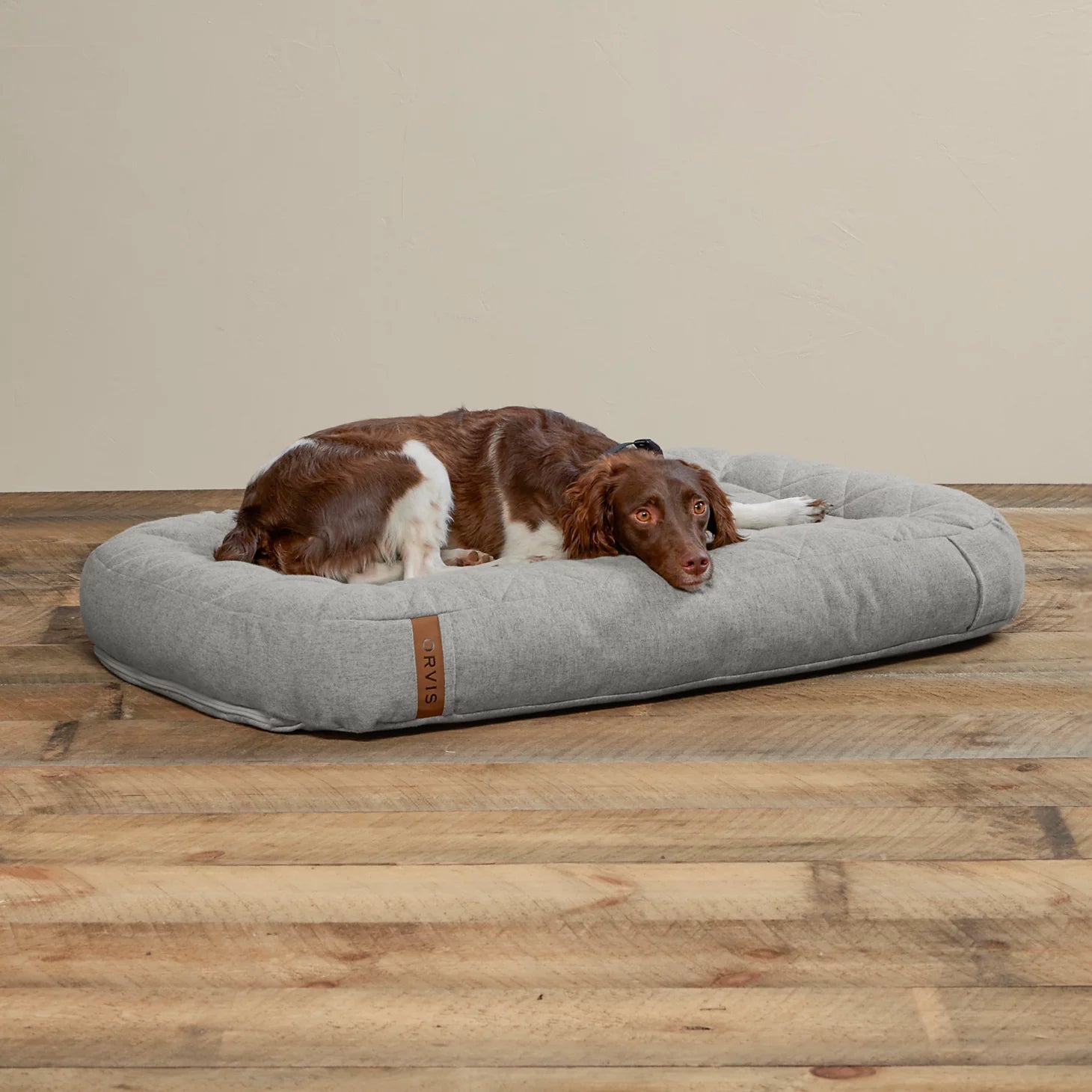 Orvis | Memory Foam Lounger Dog Bed