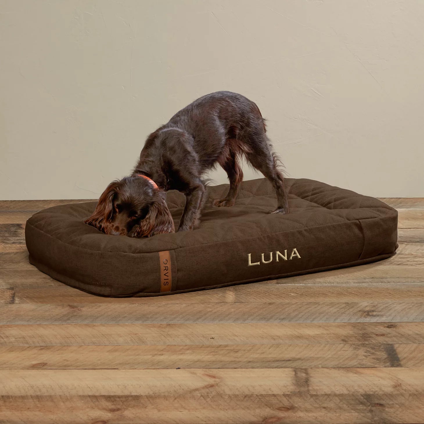 Orvis | ToughChew® Memory Foam Lounger Dog Bed