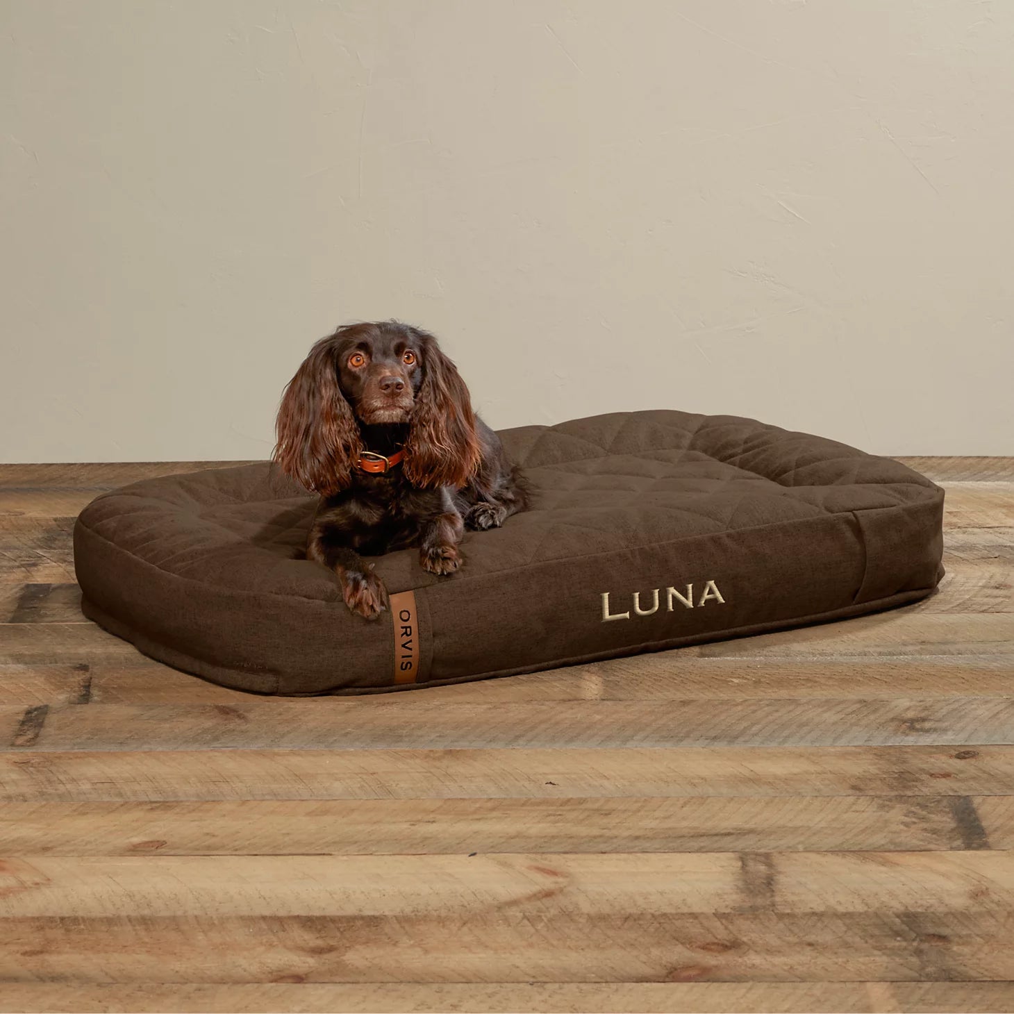 Orvis | ToughChew® Memory Foam Lounger Dog Bed
