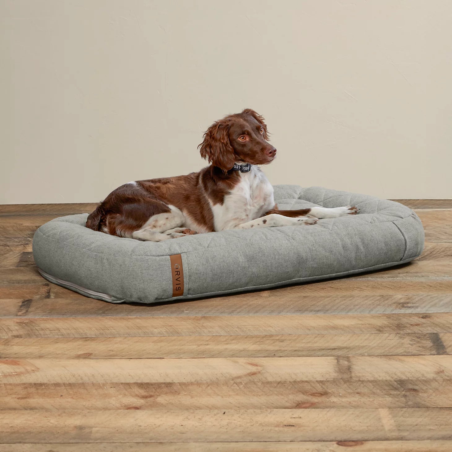 Orvis | ToughChew® Memory Foam Lounger Dog Bed