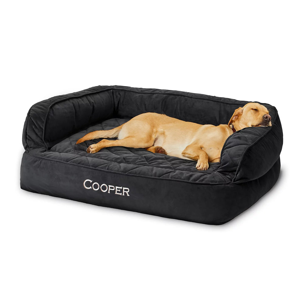 Orvis | Orvis Memory Foam Deluxe Dog Bed