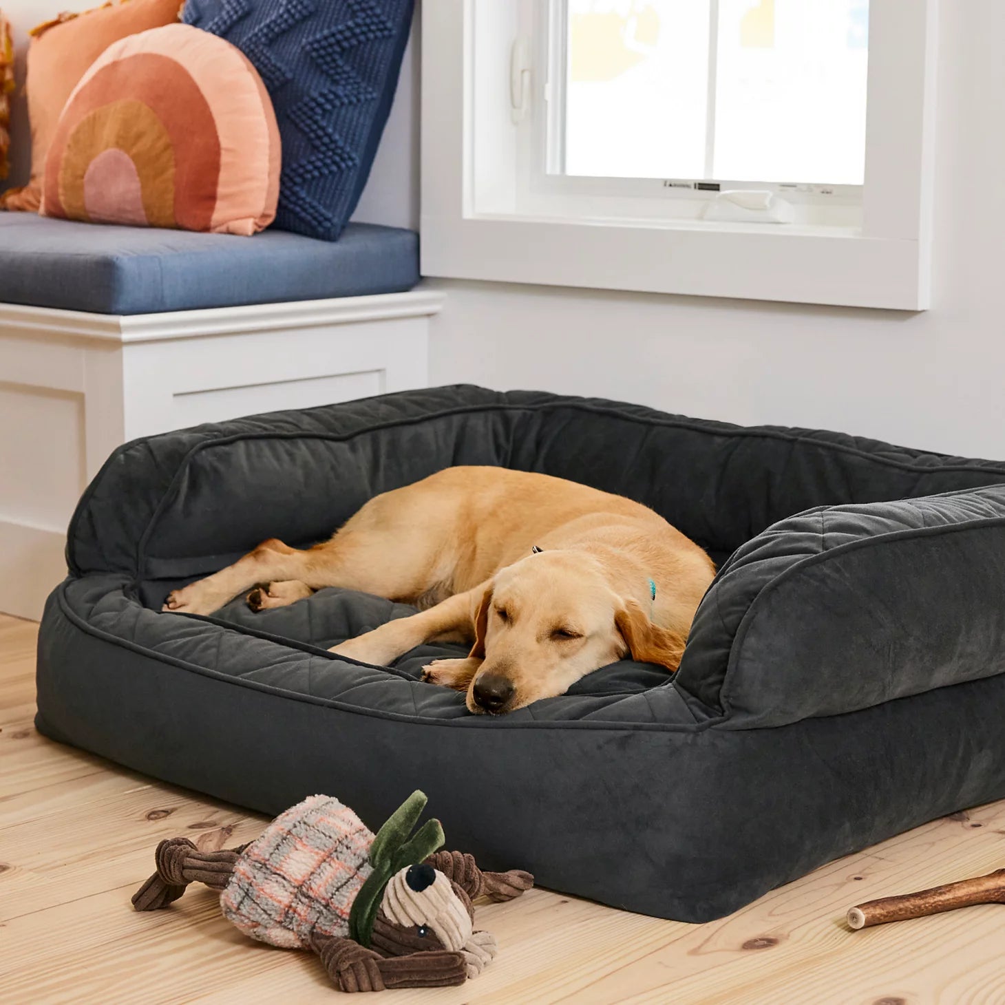 Orvis | Orvis Memory Foam Deluxe Dog Bed