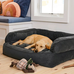 Orvis | Orvis Memory Foam Deluxe Dog Bed