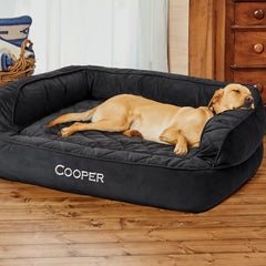 Orvis | Orvis Memory Foam Deluxe Dog Bed