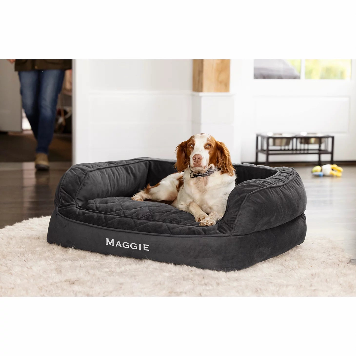 Orvis | Orvis Memory Foam Deluxe Dog Bed