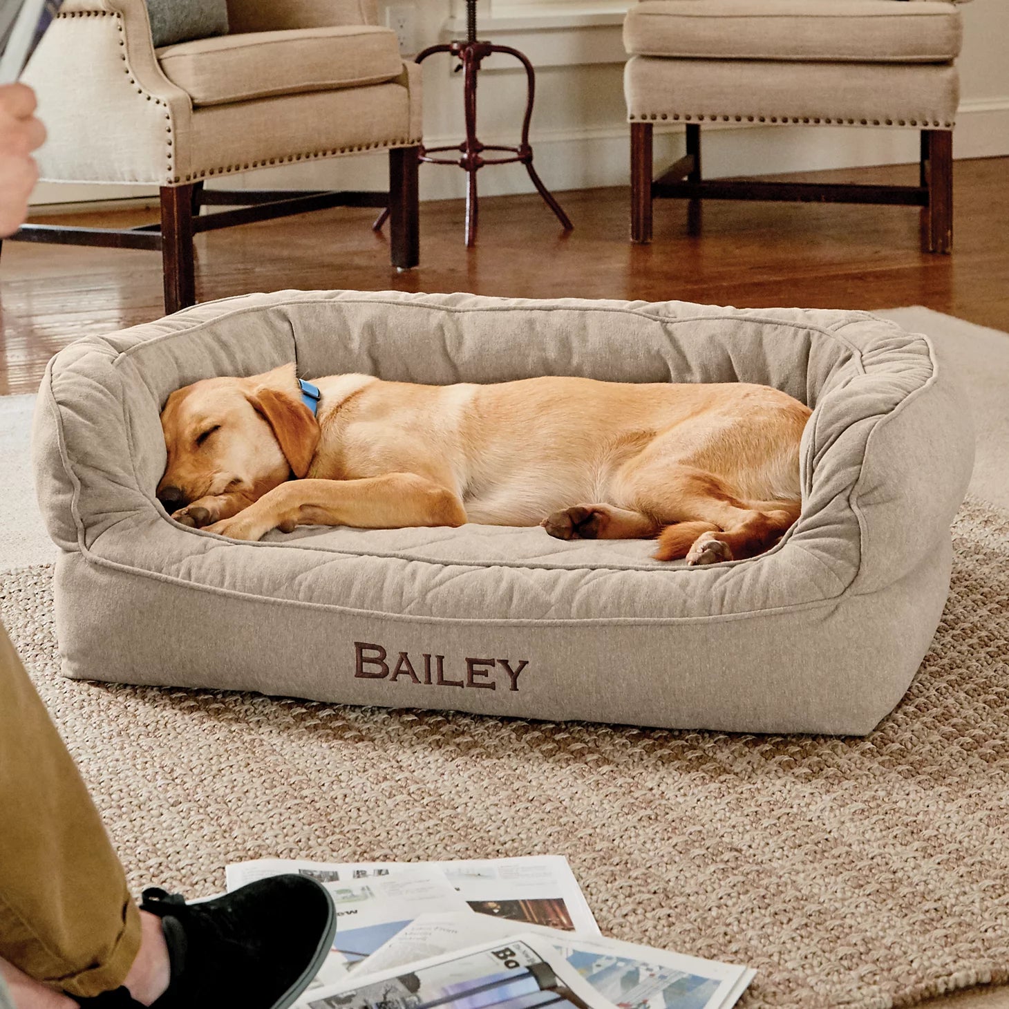 Orvis | Orvis Memory Foam Deluxe Dog Bed