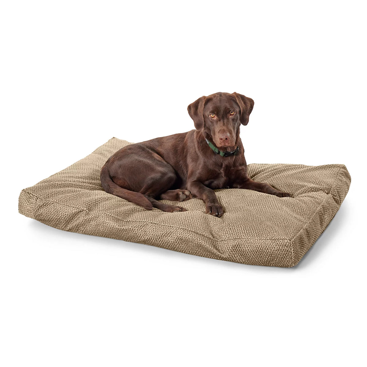 Orvis | Orvis ComfortFill-Eco® Lounger Dog Bed