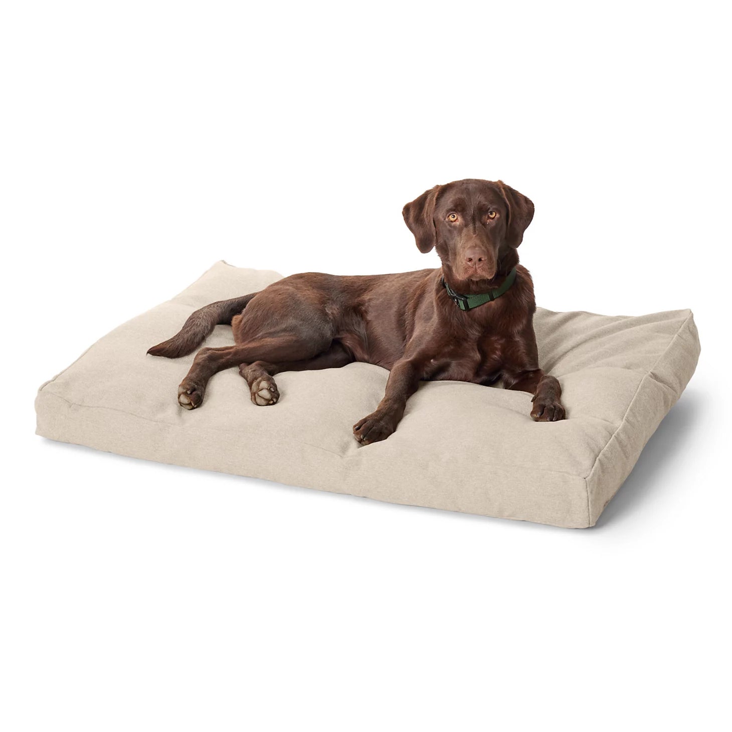 Orvis | Orvis ComfortFill-Eco® Lounger Dog Bed