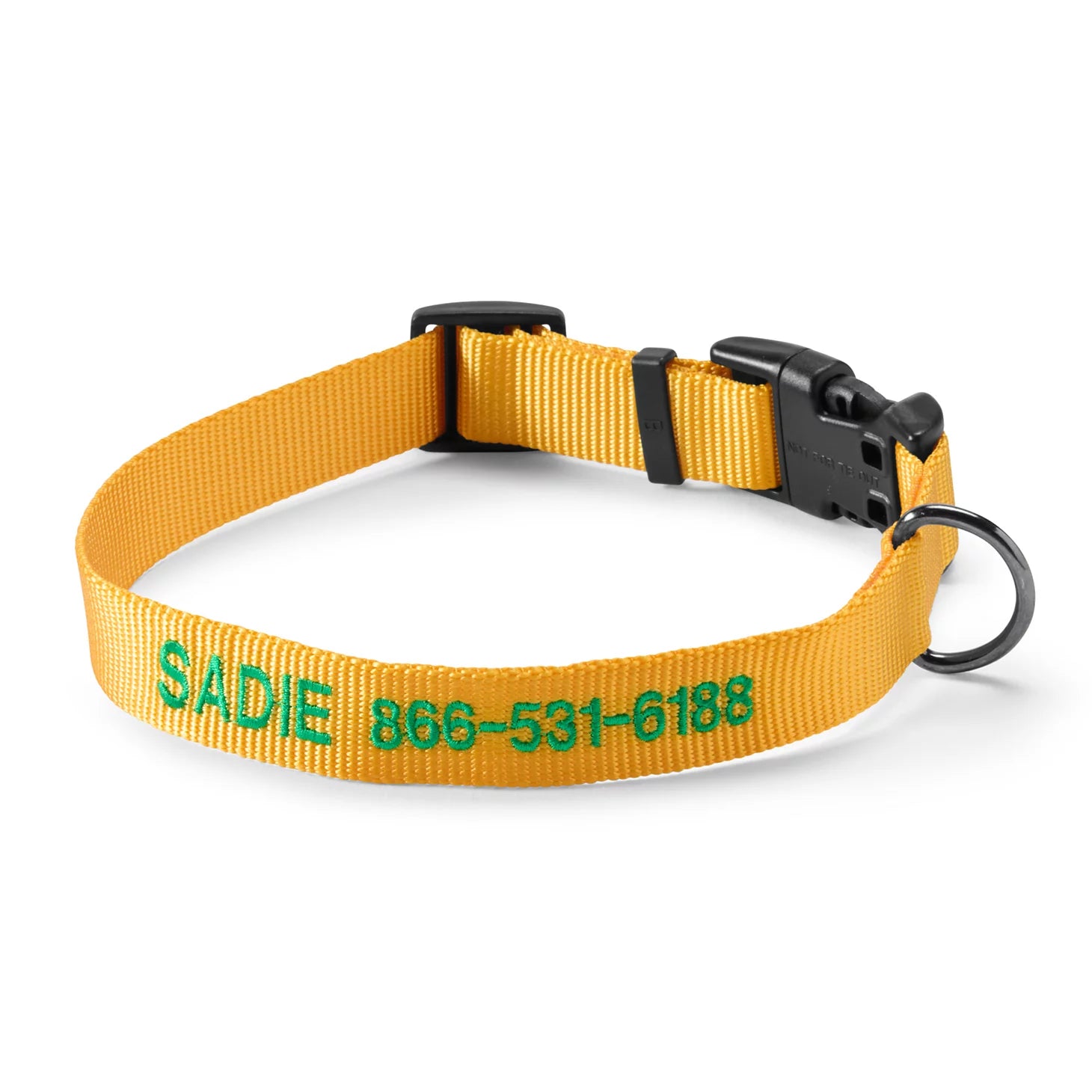 Orvis | Personalized Side-Release Buckle Collar and Leash