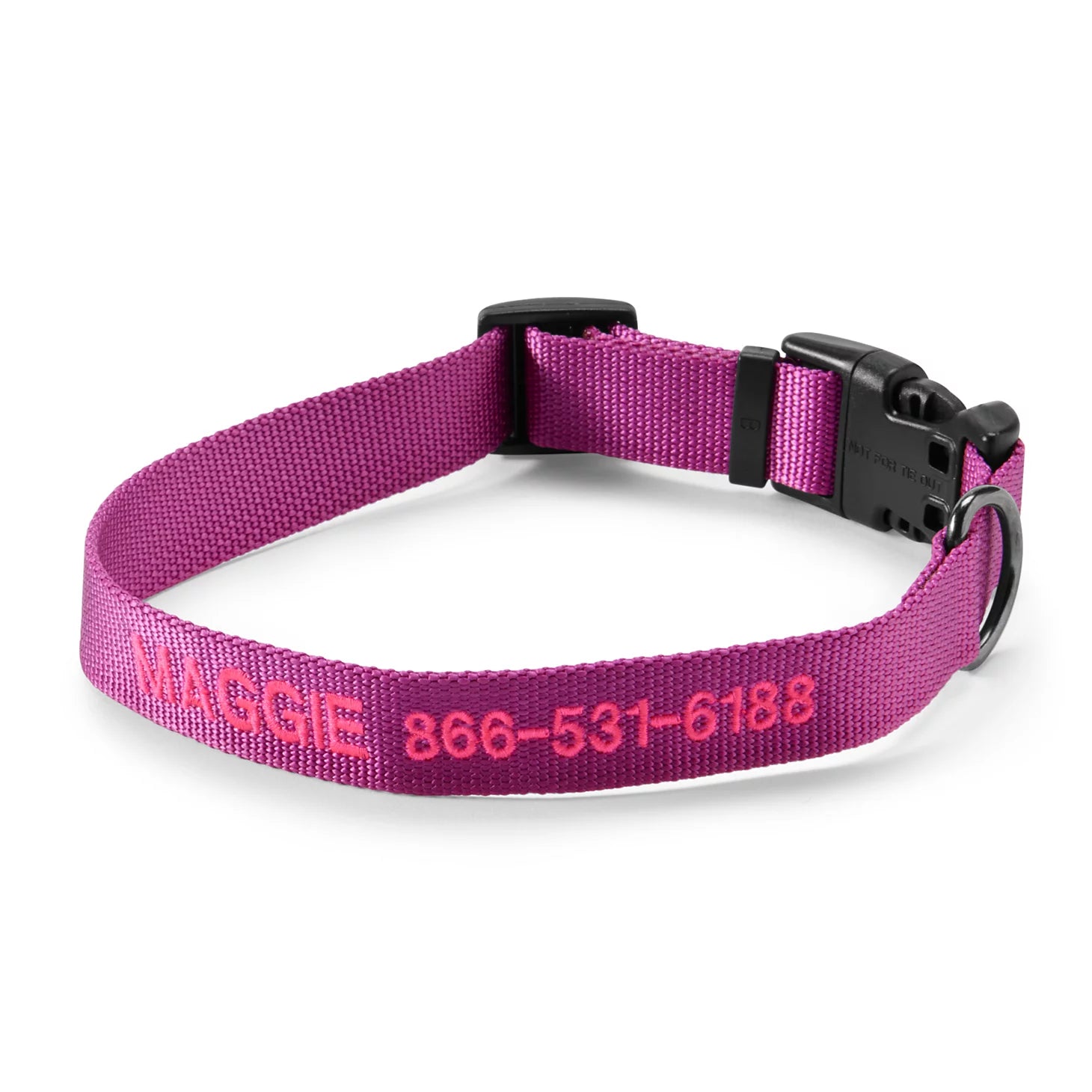Orvis | Personalized Side-Release Buckle Collar and Leash