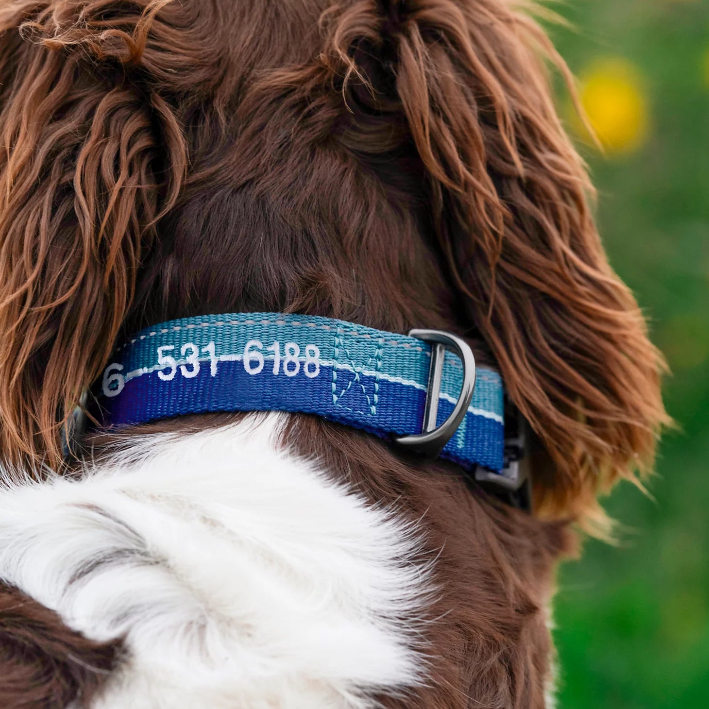 Orvis | Tough Trail® Collar 2.0