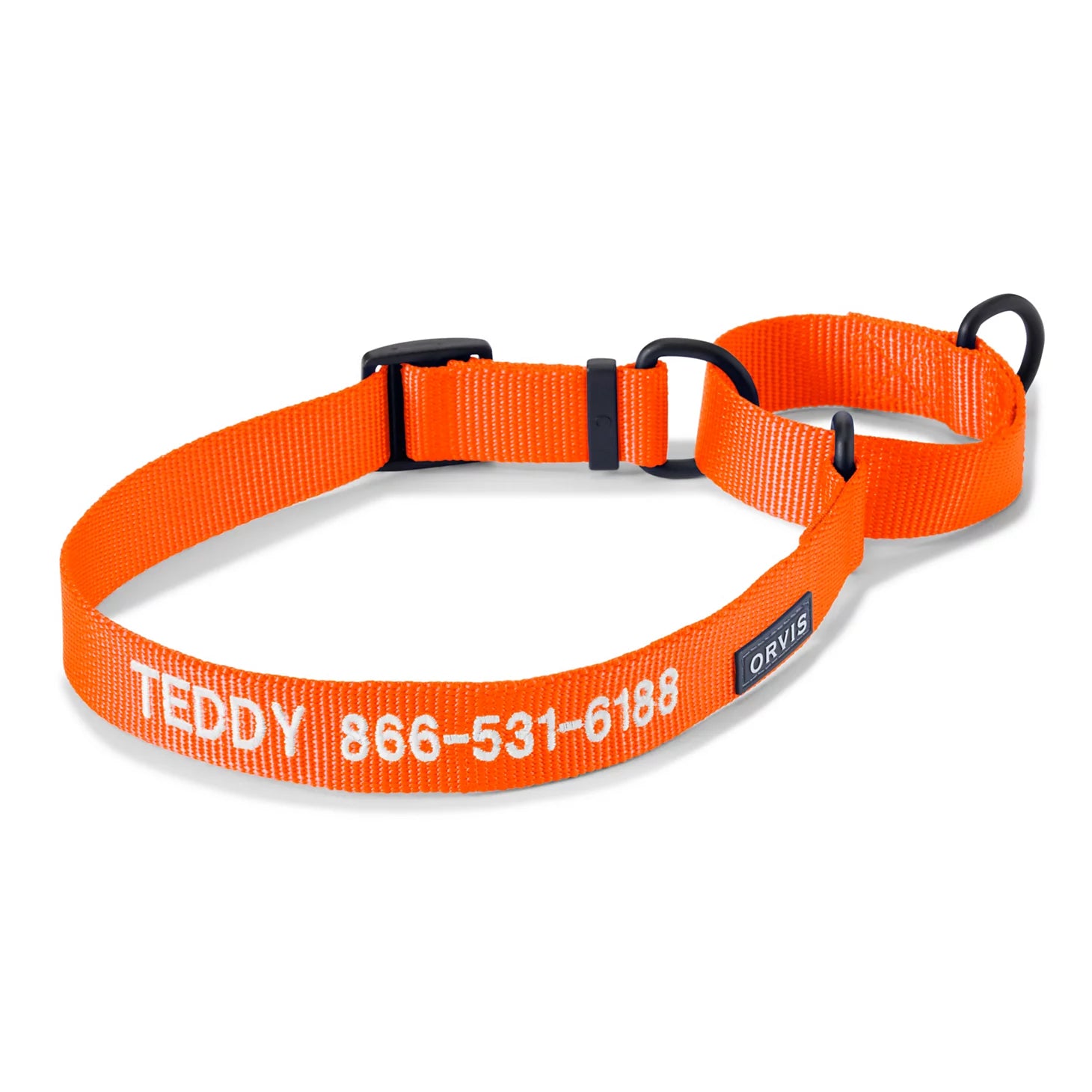 Orvis | Orvis Personalized Martingale Dog Collar